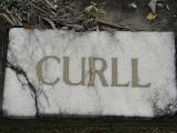 image of grave number 370460